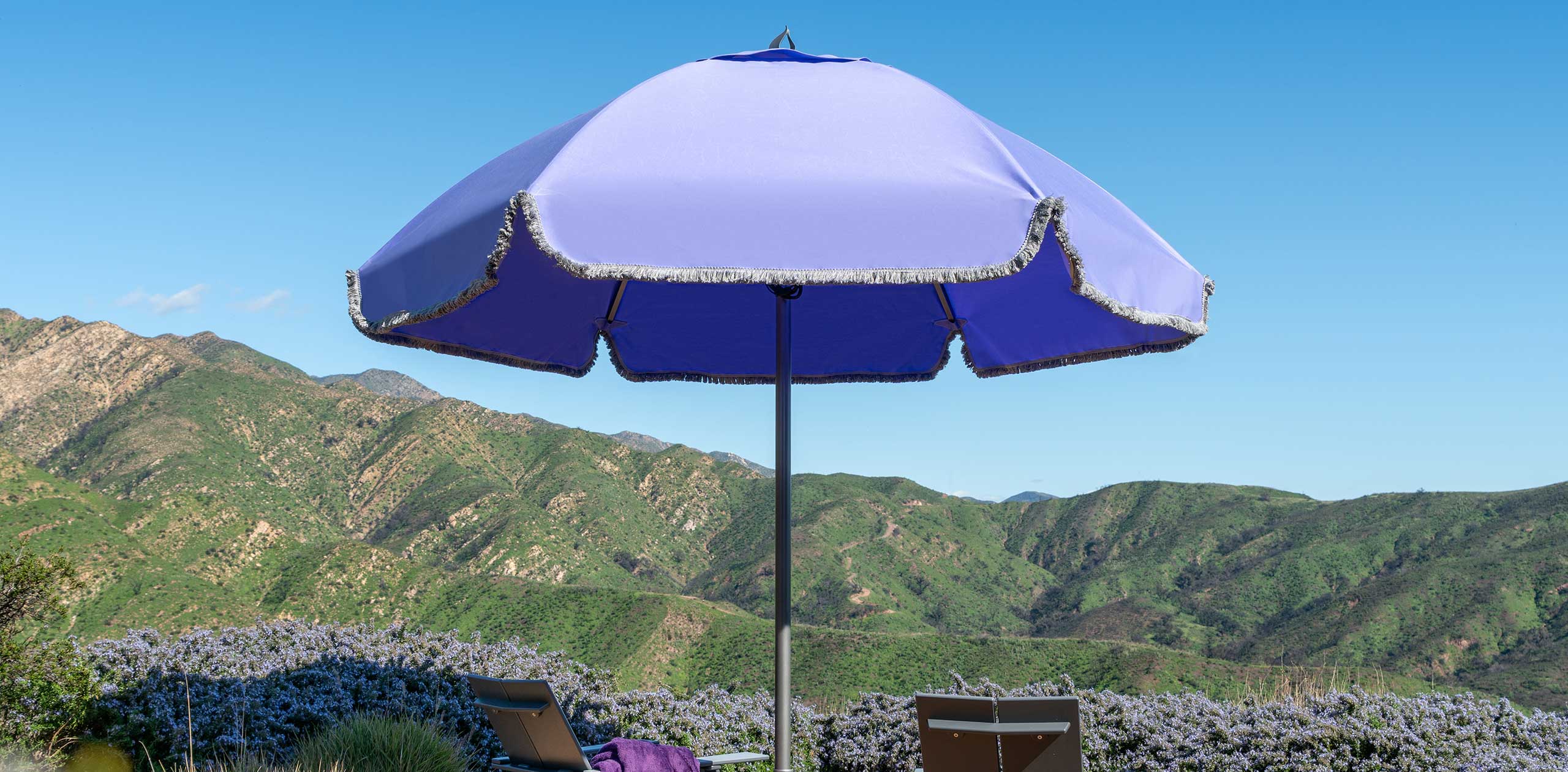 Purple Mirasol Umbrella Image