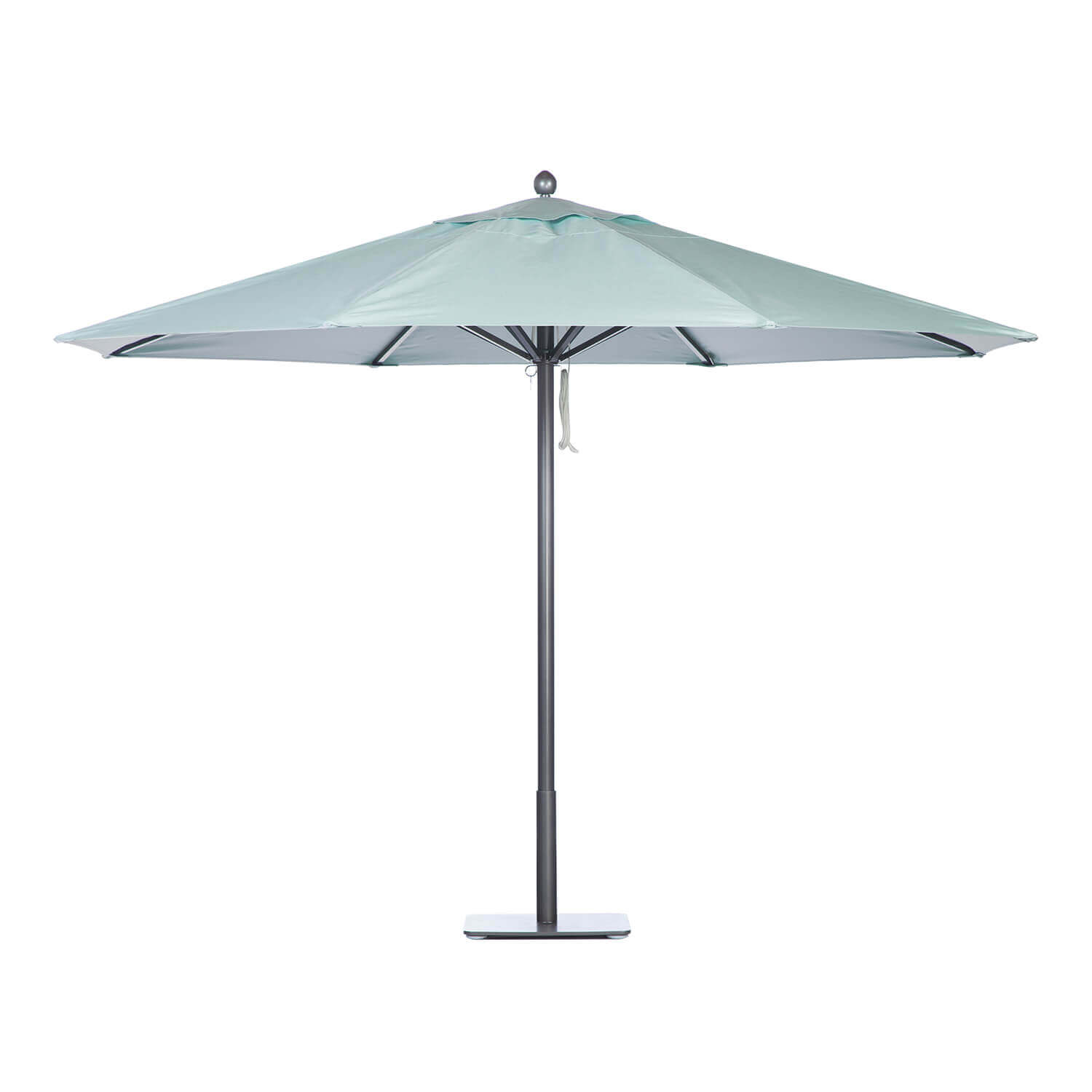 Sea Umbrella Image