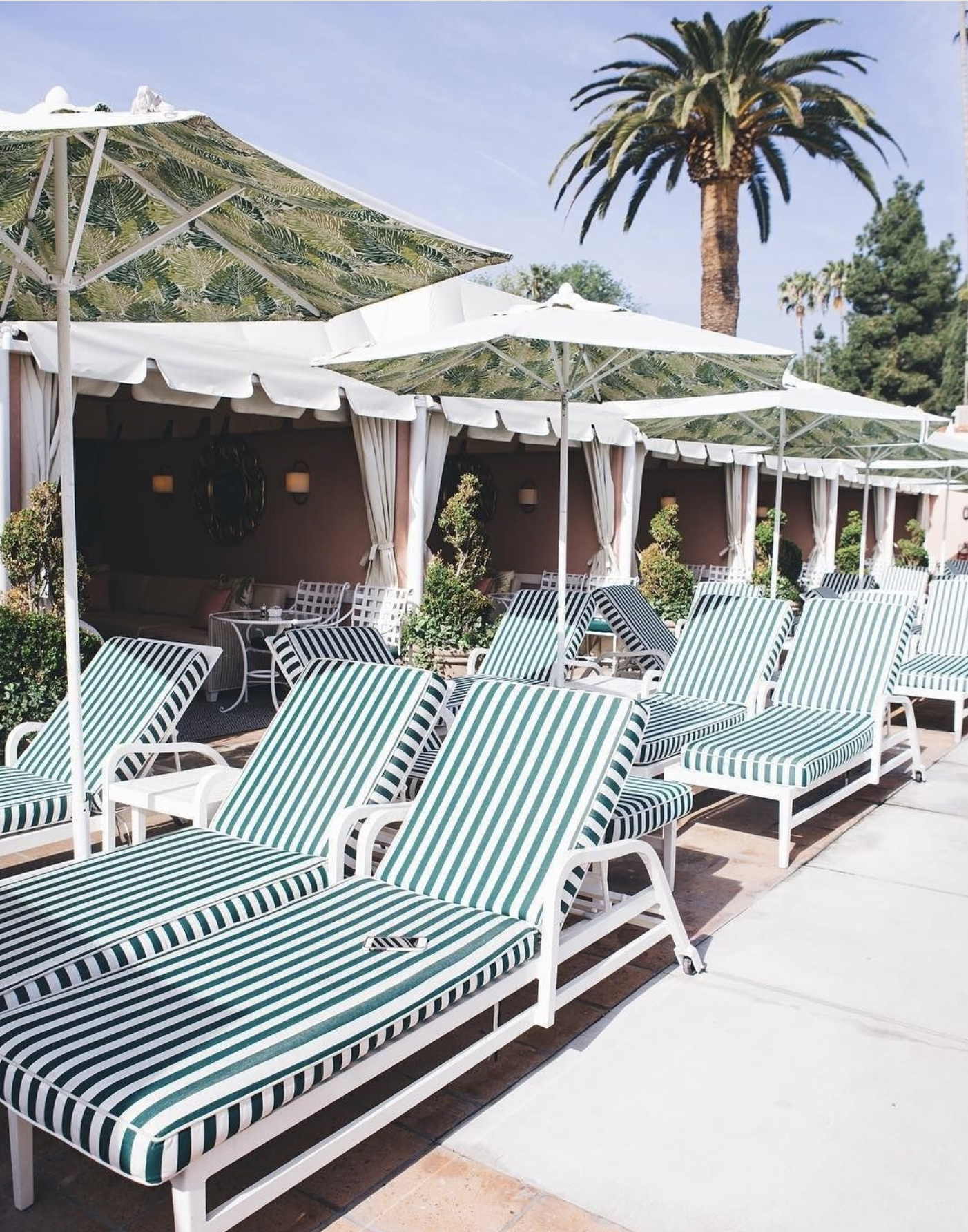 Poolside at the Iconic Beverly Hills Hotel Image