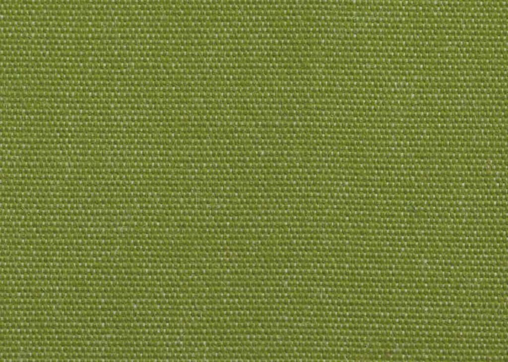 1675 Kiwi Green