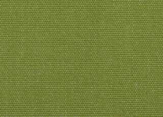 1675 Kiwi Green