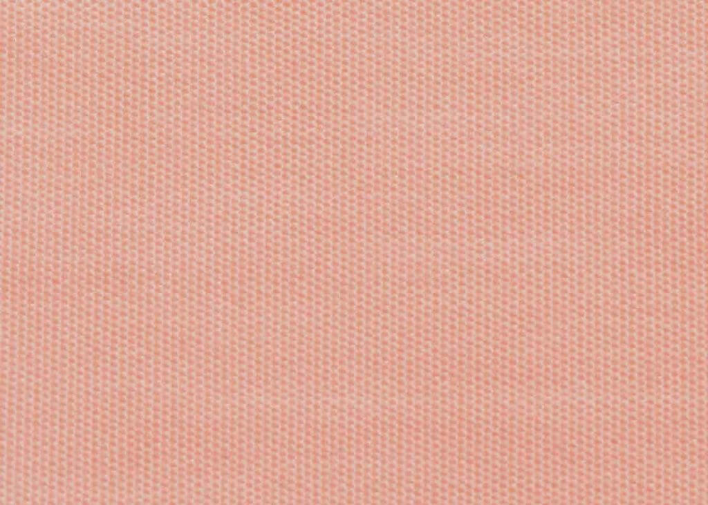 1696 French Pink