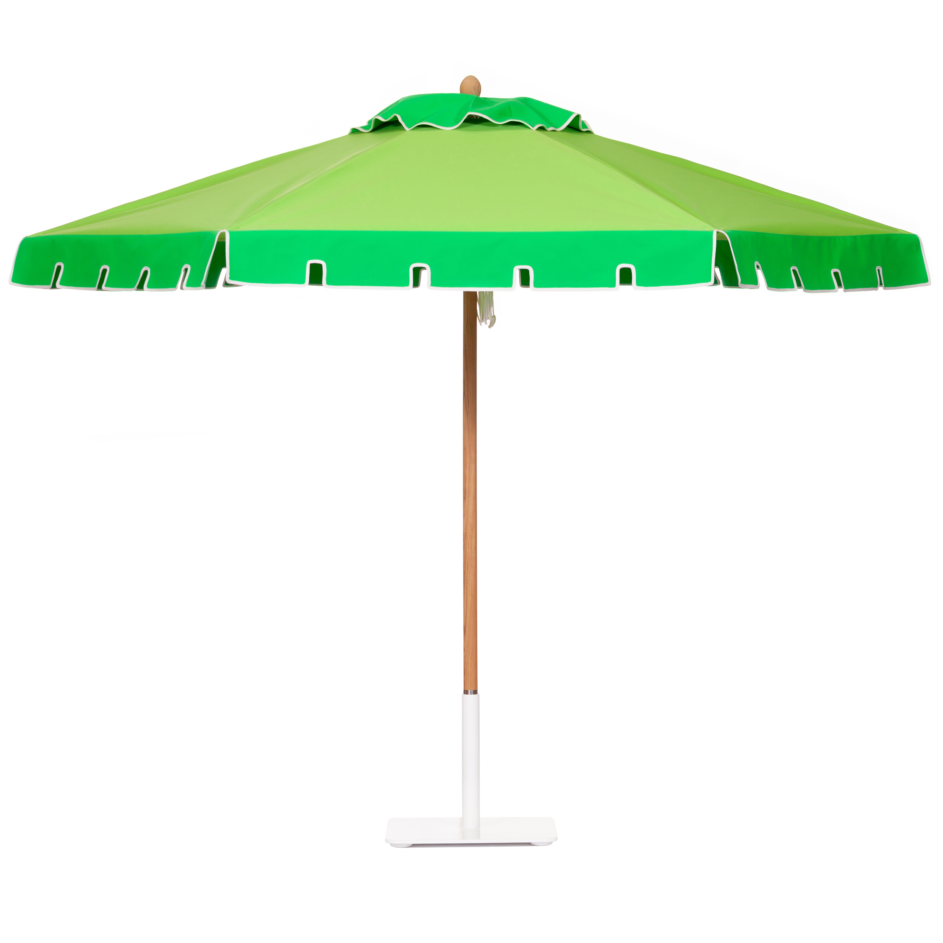 Iguana / Jungle Green Umbrella Image