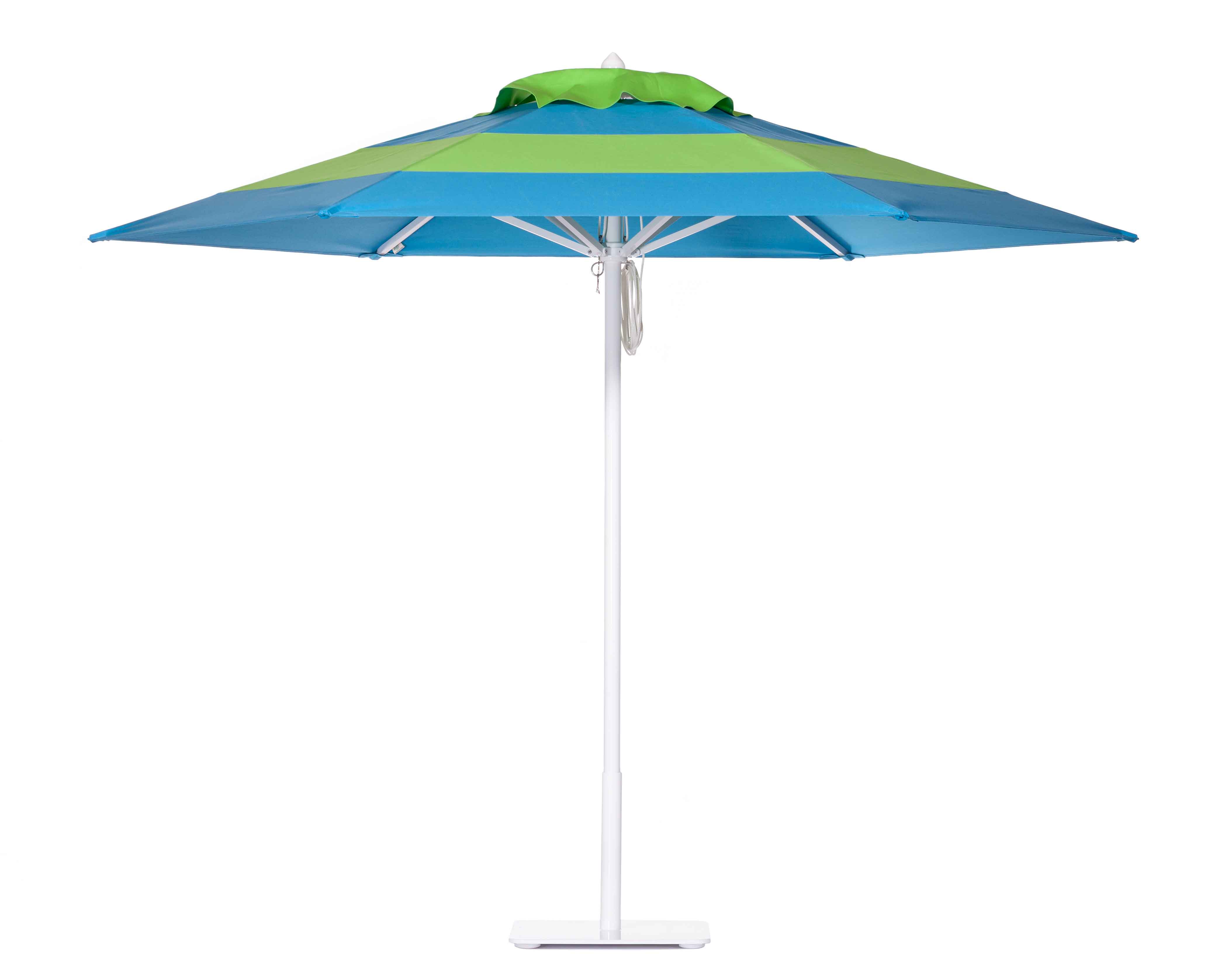 Iguana and Malibu Blue umbrella Image