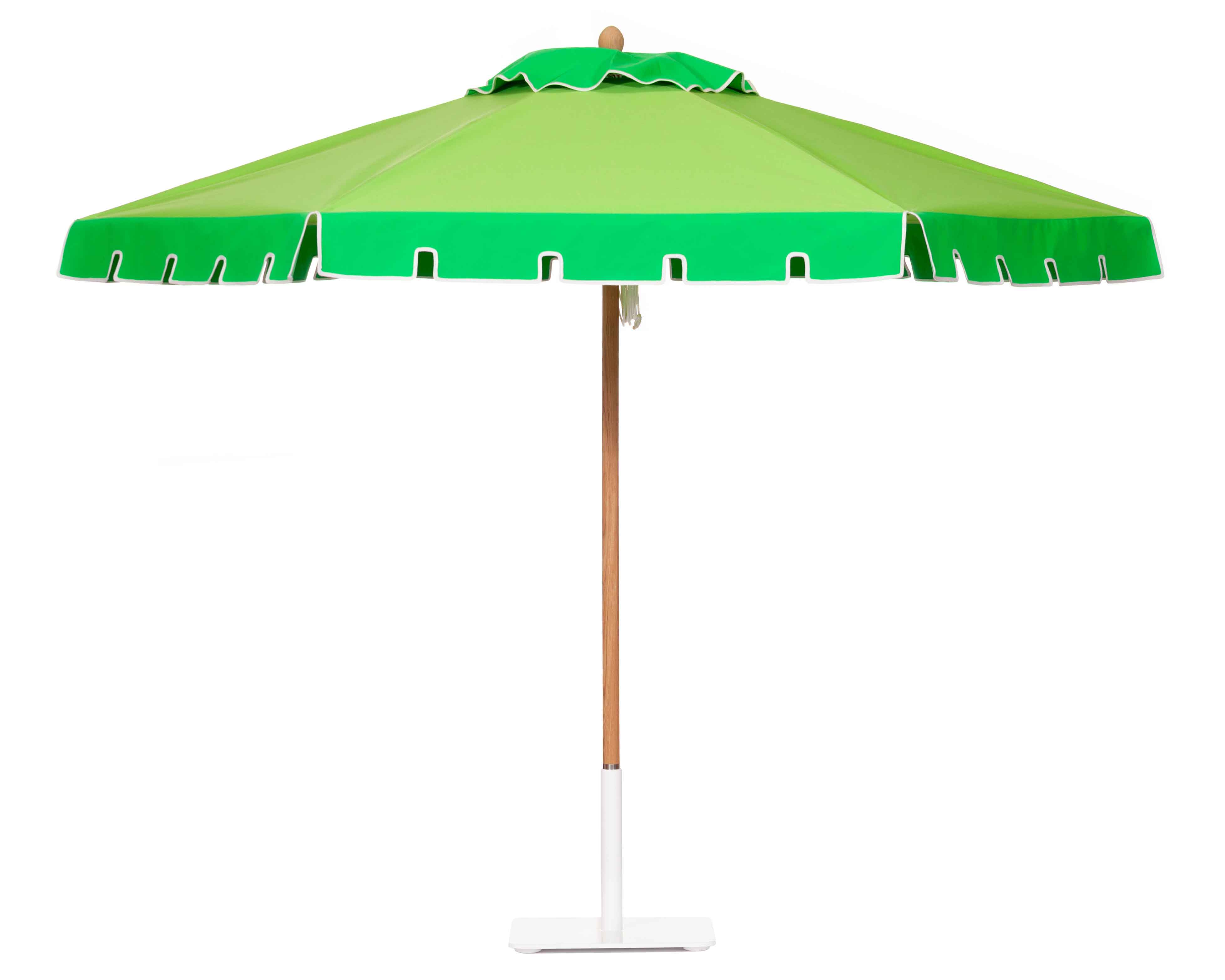 Iguana and Jungle Green umbrella Image
