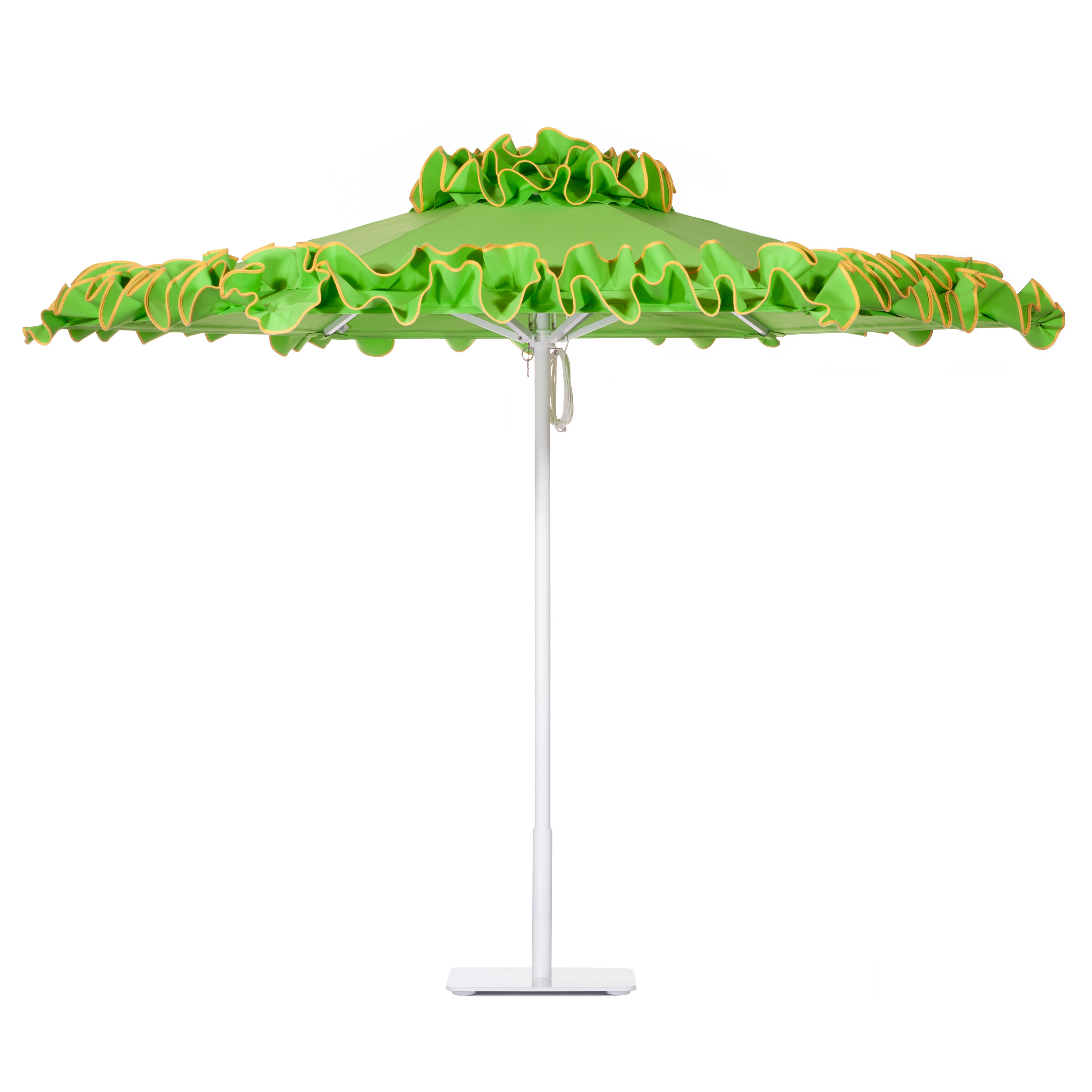 Iguana Umbrella Image