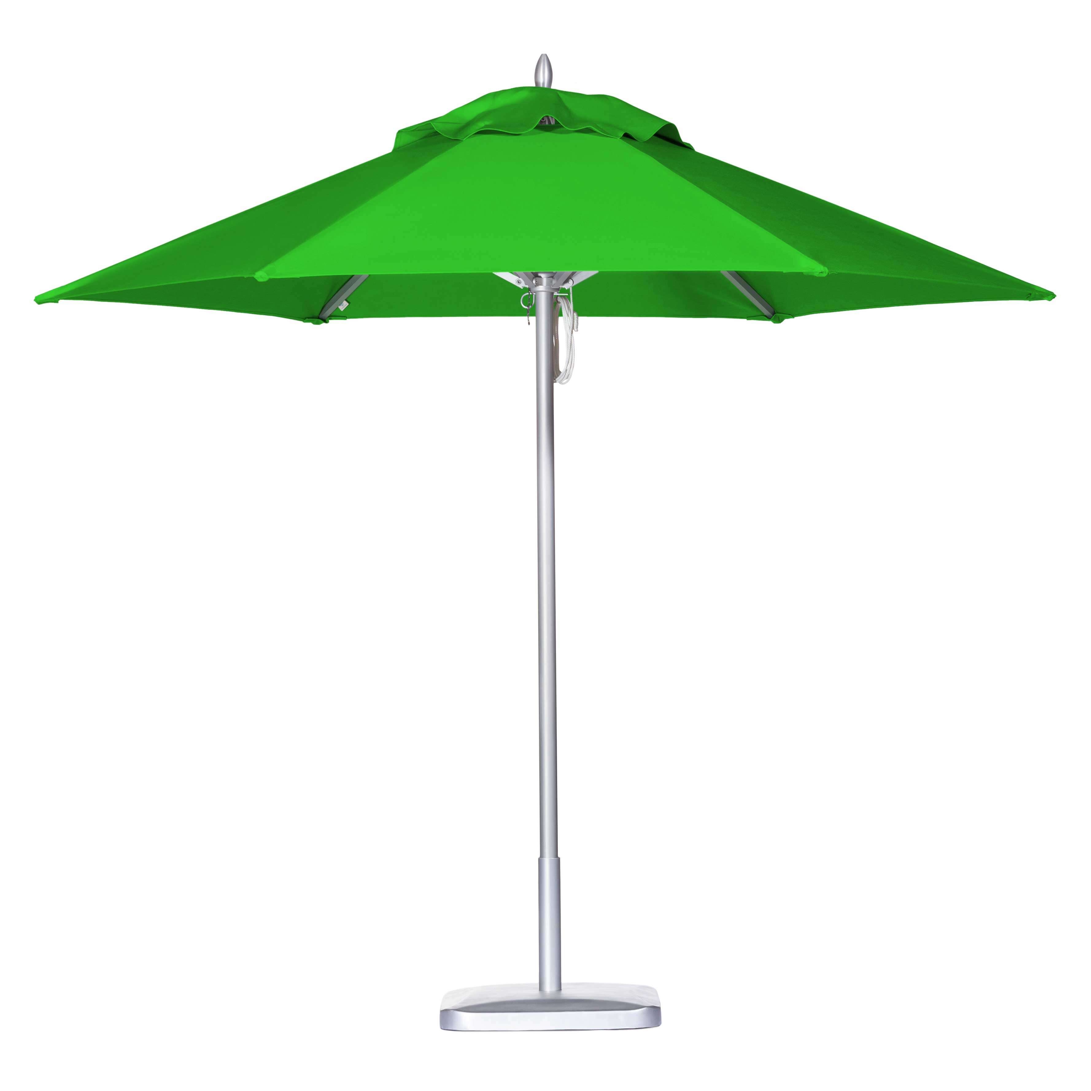 Iguana Umbrella Image