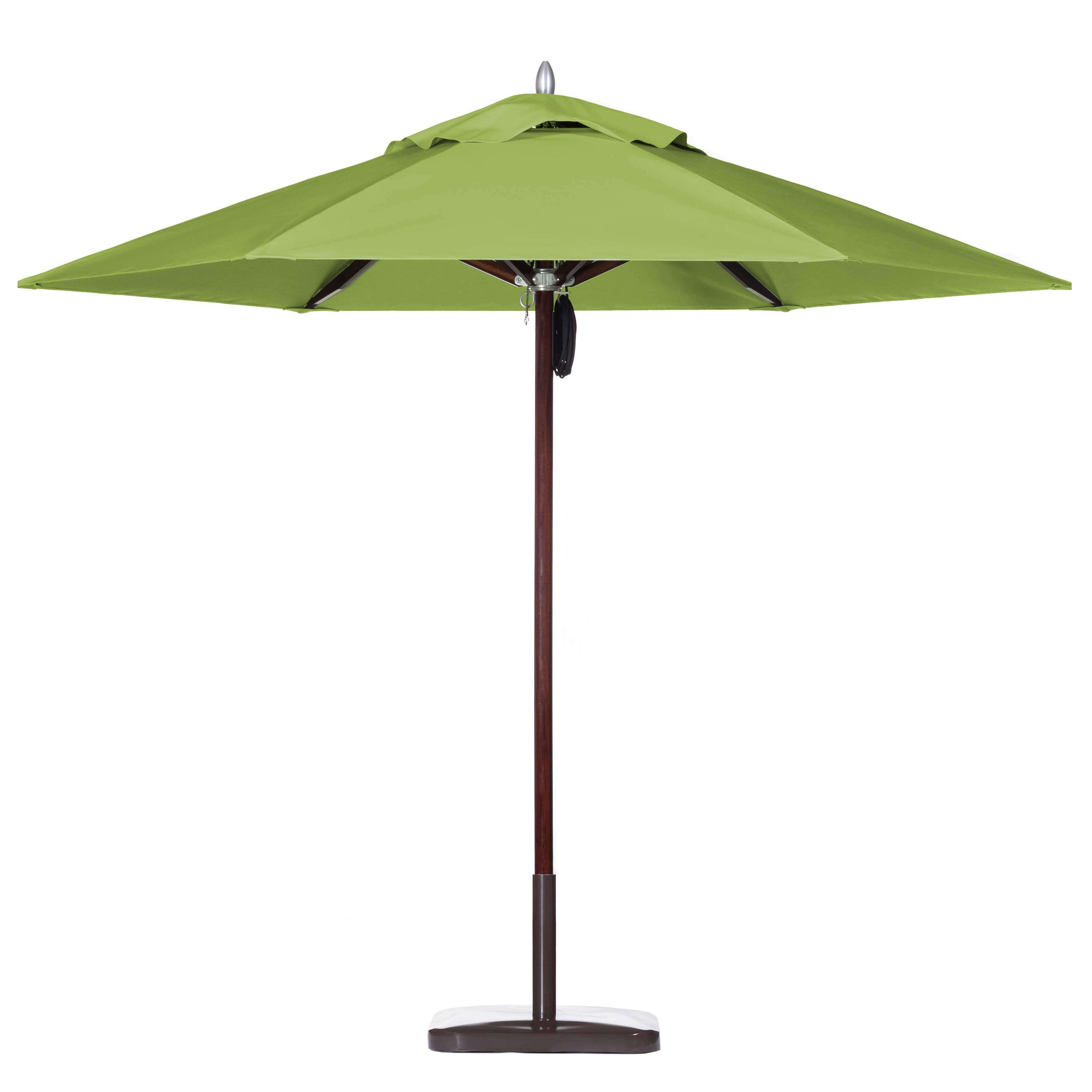 Kiwi Green Umbrella Image