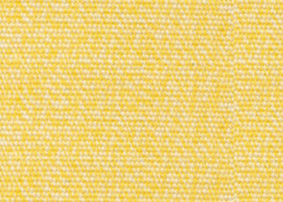 Image of Daisy fabric sample