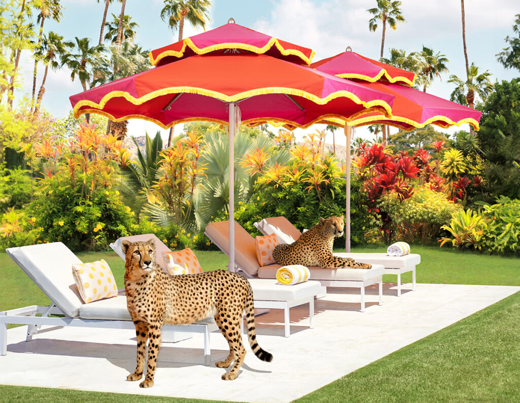 Image of umbrellas and furniture with cheetahs