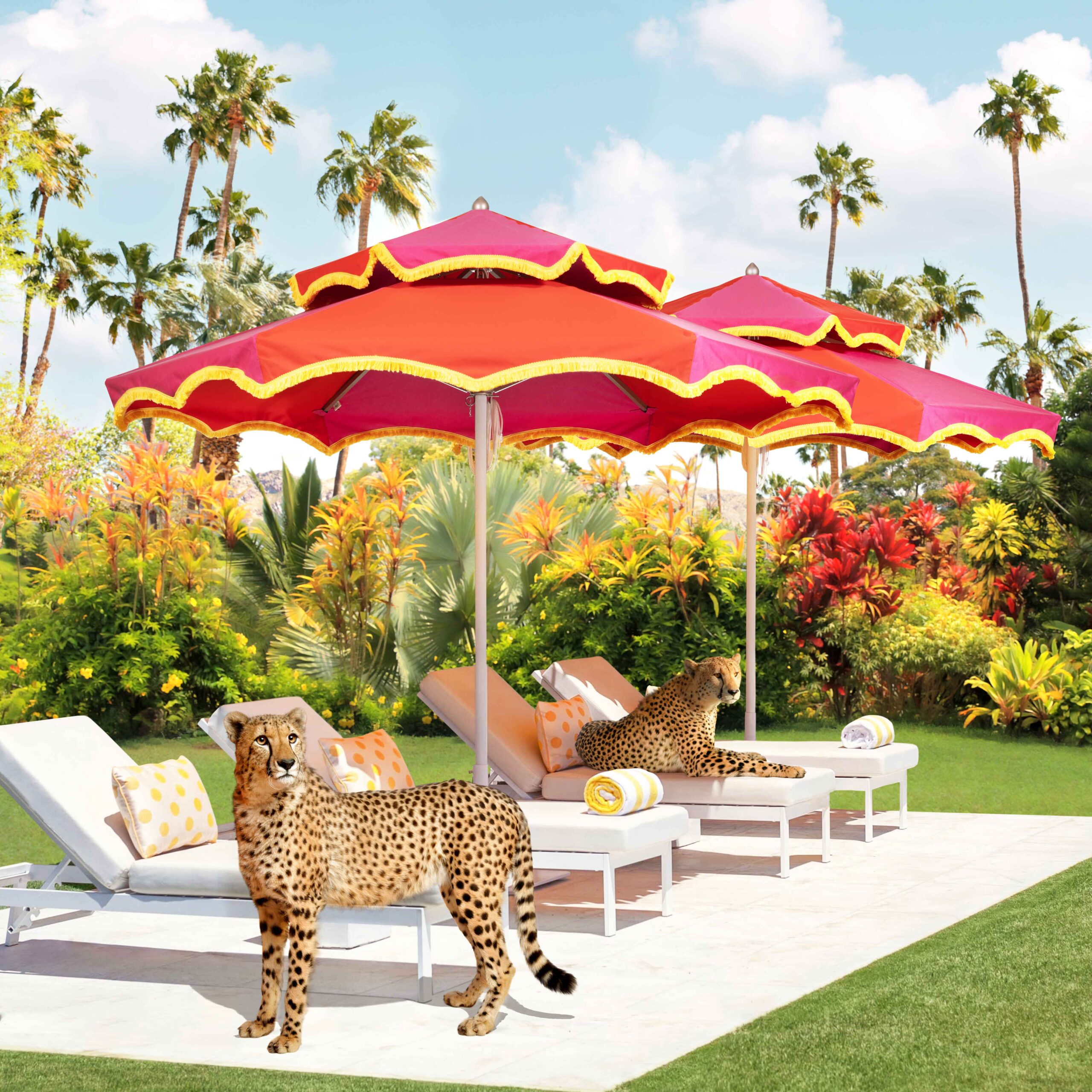 Image of umbrellas with outdoor furniture and cheetahs