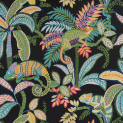 F81674 Iggy – Jungle